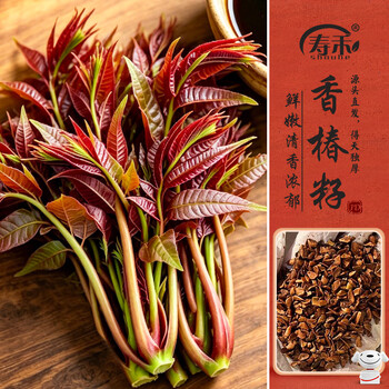 红油香椿品牌及商品- 京东