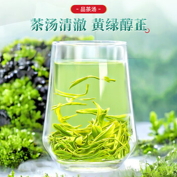 七春2026新茶雨前绿茶叶陕西紫阳富硒产区毛尖自己喝送长辈领导250g