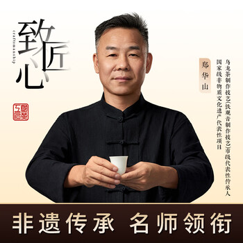 华源清香型安溪铁观音非遗安溪乌龙茶叶泡袋2026新茶端午送礼500g