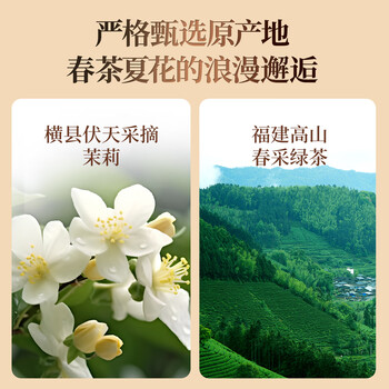 京华8号五窨茉莉花茶浓香型老北京特色花茶茶叶自己喝口粮茶250g*2