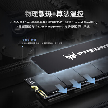 宏碁掠夺者（PREDATOR）512GB SSD固态硬盘 M.2接口(NVMe协议) GM6系列｜NVMe PCIe 4.0读速6300MB/s AI电脑存储配件