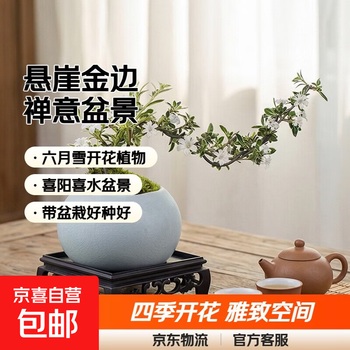 悬崖盆景品牌及商品- 京东