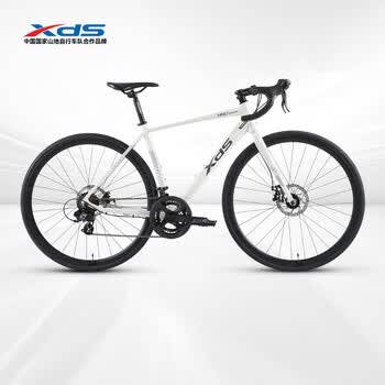 並行輸入車XDS　RC200　走行距離20キロ未満‼️都内中野区手渡し限定❕ 喜德盛200价格报价行情- 京东