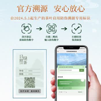 日照绿茶2026新茶绿色认证浓香型板栗香250g老味道礼盒山东特产礼品