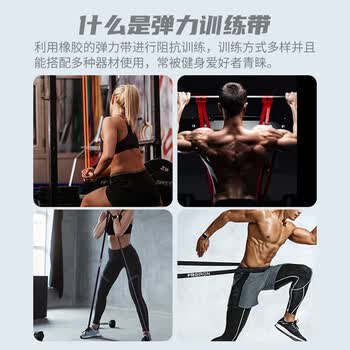 PROIRON普力艾 弹力带阻力带拉力绳引体向上辅助配套家用器材 门锚固定器