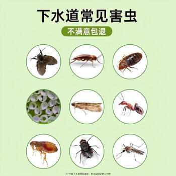 皎洁下水道杀虫剂厕所小飞虫灭杀神器卫生间除虫灭蛾蚋室内管道200ml