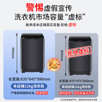 志高（CHIGO）价保618 波轮洗衣机12KG大容量全自动毛毯洗家用租房宿舍智能洗脱一体蓝光洗护XQB120-118