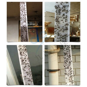 空消(KONGXIAO)粘蝇条20条粘苍蝇纸粘蝇彩带灭除苍蝇贴蚊虫纸强力蚊蝇胶饭店家用 空消(KONGXIAO)粘蝇条20条粘苍蝇纸粘蝇彩带灭除苍蝇贴蚊虫纸强力蚊蝇胶饭店家用