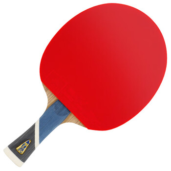 双鱼(DOUBLE FISH)单拍横拍长柄初学比赛训练专用乒乓球拍双面反胶【5A+C 附2球】 双鱼(DOUBLE FISH)单拍横拍长柄初学比赛训练专用乒乓球拍双面反胶【5A+C 附2球】