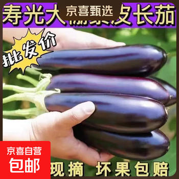 自然之星茄瓜价格报价行情- 京东