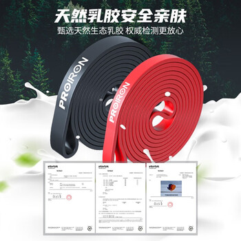 PROIRON普力艾 弹力带阻力带拉力绳引体向上辅助配套家用器材 门锚固定器