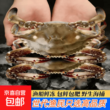 白蟹价格报价行情- 京东
