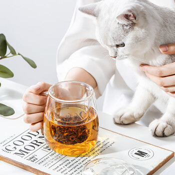 物生物（RELEA）玻璃杯男女士茶水分离杯耐高温办公泡茶杯带把高硼硅水杯花茶杯子