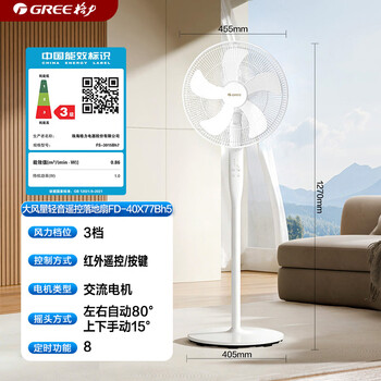 格力（GREE）【格力造-品质推荐】大风量落地扇家用电风扇摇头轻音柔风电扇科技风节能宿舍风扇 FD-40X77Bh5