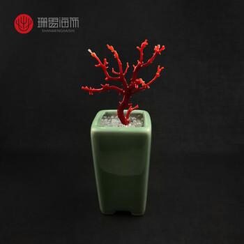 珊瑚原石品牌及商品- 京东