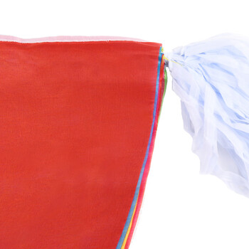 递乐 20*30cm大号串旗三角旗帜彩色100米 婚庆结婚用品婚礼婚房装饰布置彩旗10条/包 5320 递乐 20*30cm大号串旗三角旗帜彩色100米 婚庆结婚用品婚礼婚房装饰布置彩旗10条/包 5320