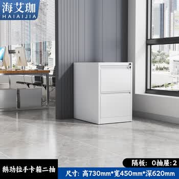 海艾珈卡箱档案柜铁皮柜FC挂劳柜文件柜A4办公资料柜二抽730*450*620mm