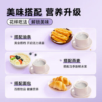 永和豆浆高蛋白纯豆黑豆浆粉180g 18g*10条 40%高蛋白 非转基因 即食早餐