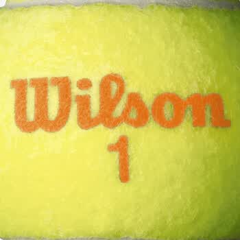 Wilson威尔胜青少年儿童训练网球低压缩网球耐磨Starter WRT137300