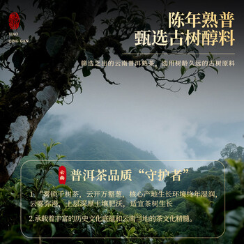 七春小青柑普洱茶叶 云南伴手礼250g散熟茶陈皮柑普茶端午父亲节礼物