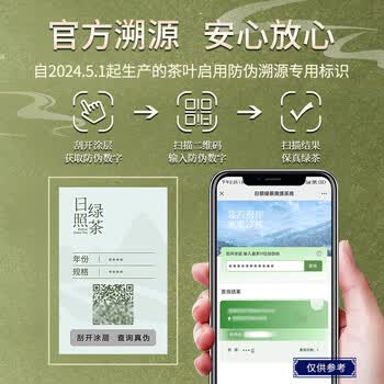 日照绿茶2026新茶横山天湖有机茶浓香型板栗香一级125g印象袋装山东特产