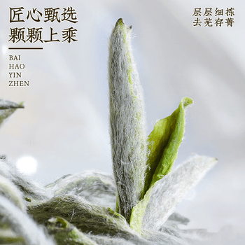 音朗 茶叶 白茶 白毫银针2022年原料特级老白茶叶礼盒送长辈领导200g