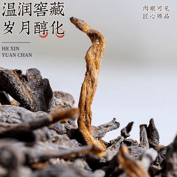 音朗 茶叶 六堡茶黑茶 特级窖藏2016年广西梧州熟茶叶礼盒送长辈500g