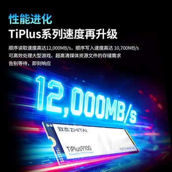 致态（ZhiTai）长江存储 1TB SSD固态硬盘 NVMe M.2接口 TiPlus9100 系列 (PCIe 5.0 产品)