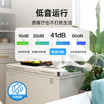 星星（XINGX）200L双温家用卧式冰柜大容量保鲜卧式一级能效冰箱冷藏冷冻双温减霜冷柜BCD-200GE