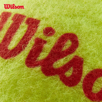 Wilson威尔胜儿童青少年训练网球 低压耐磨网球3只装