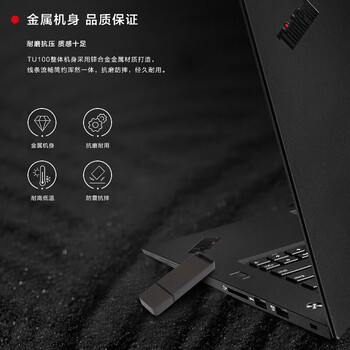 联想ThinkPlus 512GB固态优盘 USB3.1接口 商务金属闪存U盘 TU100系列 灰色 联想ThinkPlus 512GB固态优盘 USB3.1接口 商务金属闪存U盘 TU100系列 灰色