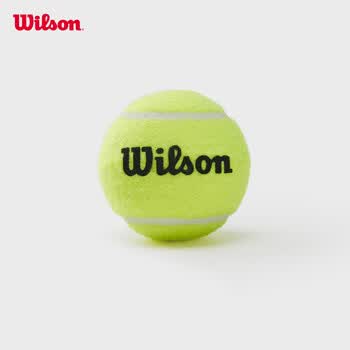 Wilson威尔胜无压力训练网球 袋装60颗WRT136000
