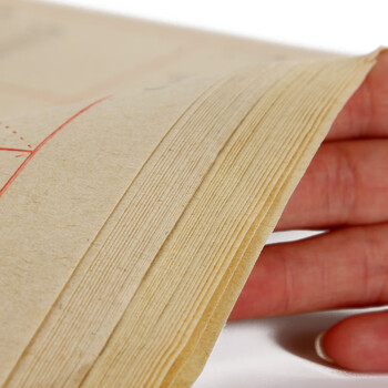 一海堂文化 宣纸 文房四宝 柳公权字帖双色名家字帖初学临摹描红宣纸毛笔字帖书法 9*28格*40张