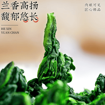 音朗 茶叶2026新茶安溪铁观音清香型兰香特级端午礼盒送长辈2罐共500g
