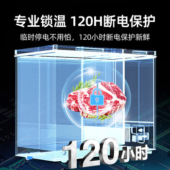 星星（XINGX）200L双温家用卧式冰柜大容量保鲜卧式一级能效冰箱冷藏冷冻双温减霜冷柜BCD-200GE