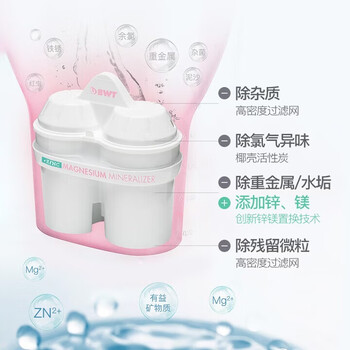 倍世（BWT）滤水壶家用过滤净水器大容量母婴水壶 G5系列 4.3L（沧浪青）一壶6芯 镁离子滤芯【半年装】