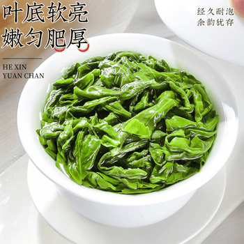音朗 茶叶2026新茶安溪铁观音清香型兰香特级端午礼盒送长辈2罐共500g