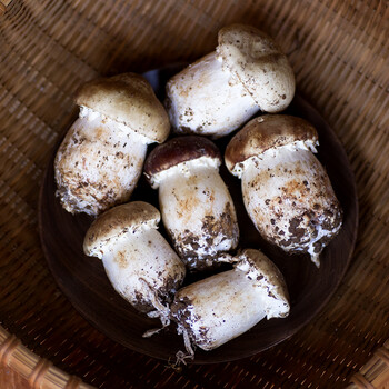 新鲜姬松茸云南球盖菇精选姬松茸菌姬松茸新鲜1000克鲜菌菇