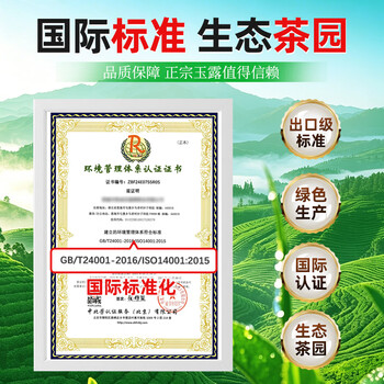 恩施玉露2026特级绿茶新茶216g源头直发明前春茶嫩芽蒸青茶端午节礼盒茶叶 恩施玉露2026特级绿茶新茶216g源头直发明前春茶嫩芽蒸青茶端午节礼盒茶叶