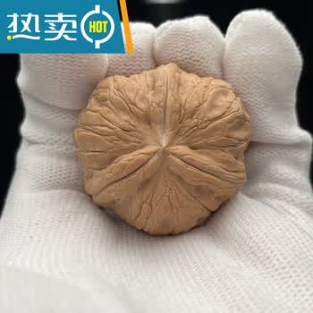 单只文玩核桃品牌及商品- 京东