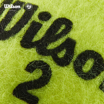 Wilson威尔胜法网公开赛官方比赛用球红土罐装3颗装网球