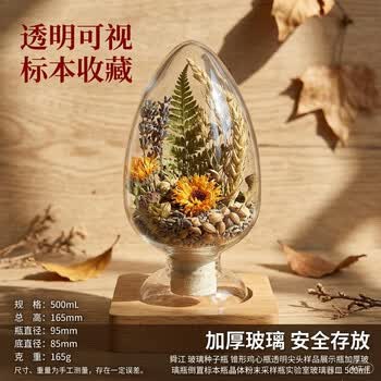 舜江 玻璃种子瓶 锥形鸡心瓶透明尖头样品展示瓶加厚玻璃瓶倒置标本瓶晶体粉末采样瓶实验室玻璃器皿 500mL 舜江 玻璃种子瓶 锥形鸡心瓶透明尖头样品展示瓶加厚玻璃瓶倒置标本瓶晶体粉末采样瓶实验室玻璃器皿 500mL