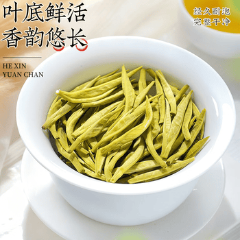 音朗 茶叶 特级茉莉花茶龙珠明前2026新茶横县九窨端午礼盒送长辈500g