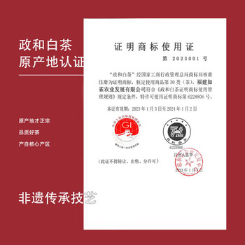 政和白茶雀实香政和白茶白牡丹王特级头采80g罐装口粮头春茶叶