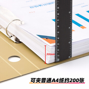 天色 两孔文件夹打孔 a4二孔活页夹插页资料册多功能办公室收纳 彩色穿孔大容量加厚强力夹 TS-1612 墨绿