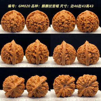 超大文玩核桃图片- 京东