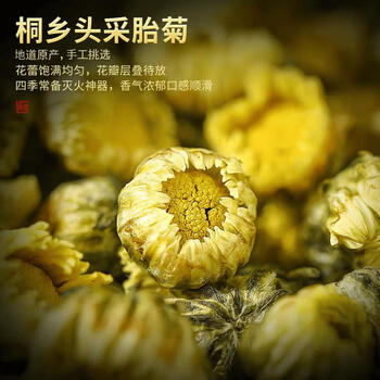 陈一凡金银花胎菊花茶 新鲜无熏泡水喝花草茶凉茶 组合罐装茶叶50g+60g