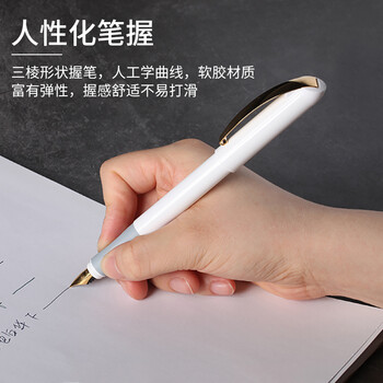 施耐德（Schneider）钢笔宝珠笔套装 成人学生练字双笔头签字笔 男女生日礼物-金色年华白色167802