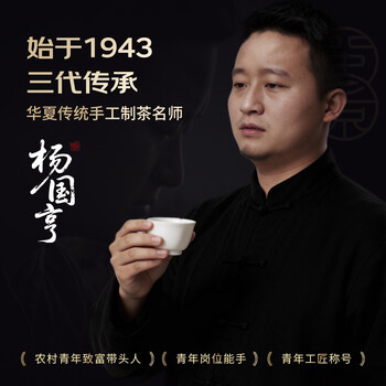 闽景印象金骏眉红茶叶礼盒装2026新茶高端送礼长辈桐木特级端午父亲节250g