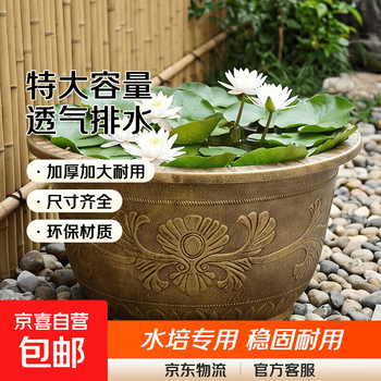 荷花缸荷花缸价格报价行情- 京东